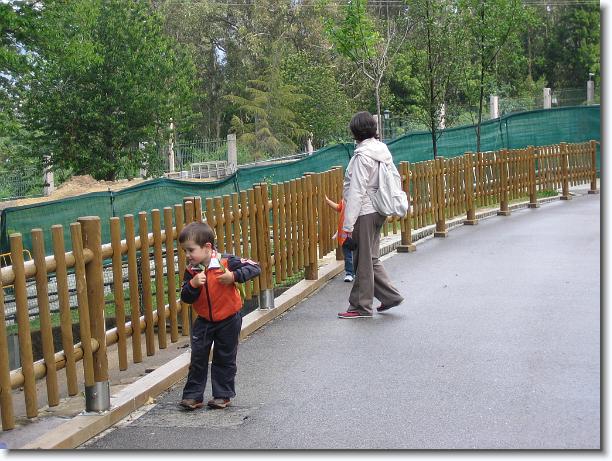 Diapositiva siguiente